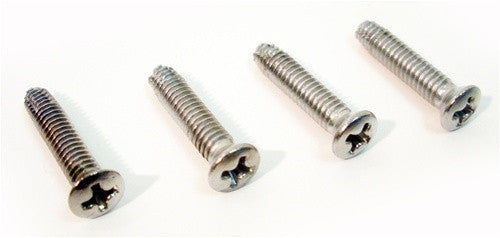 1969 Firebird Parking Light Lens & Bezel Screws Set (4)