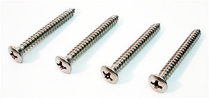 1970 - 1973 Firebird Park Light Lens / Bezel Screws Set (4)