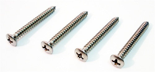 1970 - 1973 Firebird Park Light Lens / Bezel Screws Set (4)